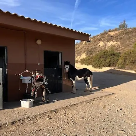 Casa Andalucia - 3,5 Haus Unter Den Sternen, Vivienda Rural Vtaral01059 *
