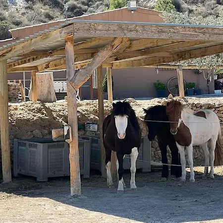 Casa Andalucia - 3,5 Haus Unter Den Sternen, Vivienda Rural Vtaral01059 *