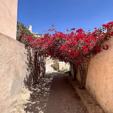 Casa Andalucia - 3,5 Haus Unter Den Sternen, Vivienda Rural Vtaral01059